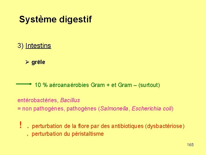 Système digestif 3) Intestins Ø grêle 10 % aéroanaérobies Gram + et Gram –