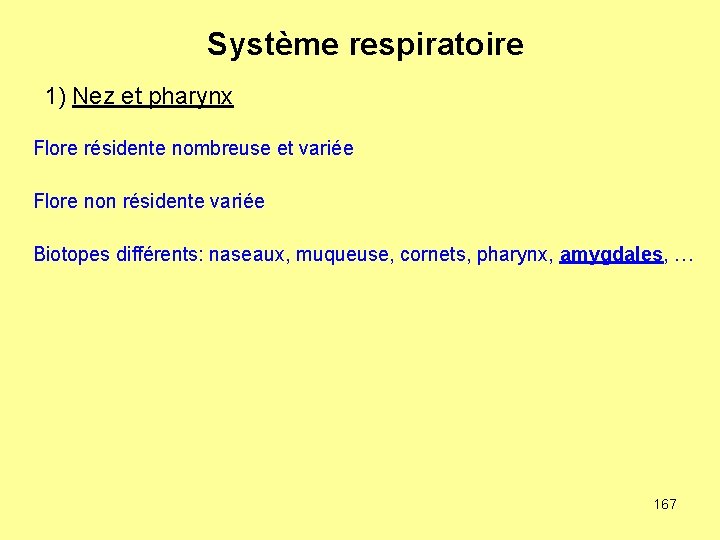 Système respiratoire 1) Nez et pharynx Flore résidente nombreuse et variée Flore non résidente