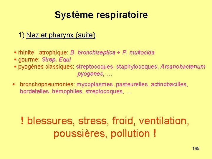 Système respiratoire 1) Nez et pharynx (suite) § rhinite atrophique: B. bronchiseptica + P.