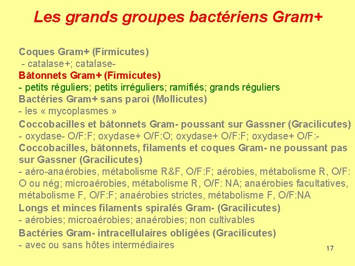 Les grands groupes bactériens Gram+ Coques Gram+ (Firmicutes) - catalase+; catalase. Bâtonnets Gram+ (Firmicutes)