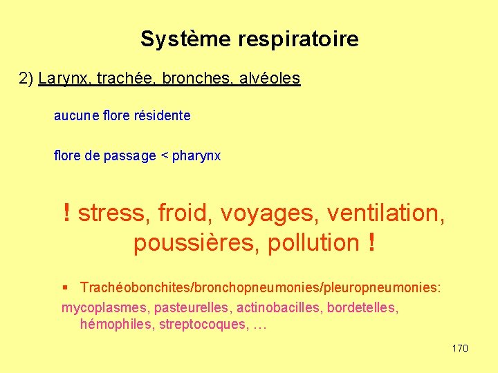 Système respiratoire 2) Larynx, trachée, bronches, alvéoles aucune flore résidente flore de passage <