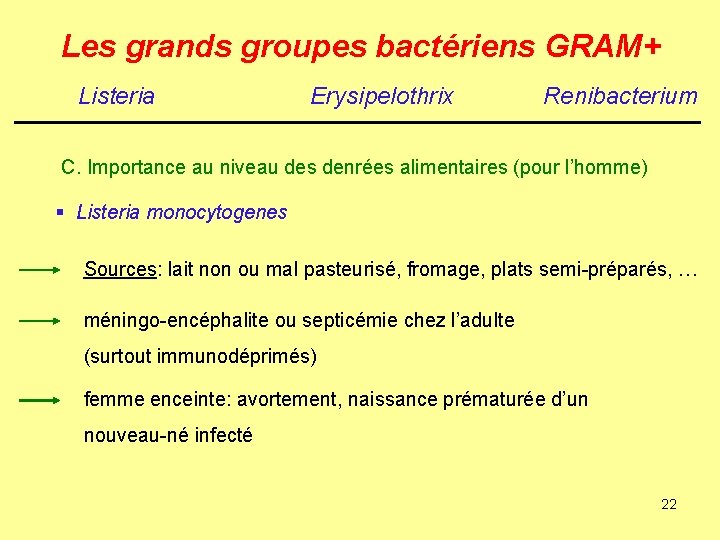 Les grands groupes bactériens GRAM+ Listeria Erysipelothrix Renibacterium C. Importance au niveau des denrées