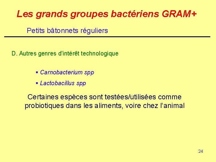 Les grands groupes bactériens GRAM+ Petits bâtonnets réguliers D. Autres genres d’intérêt technologique §