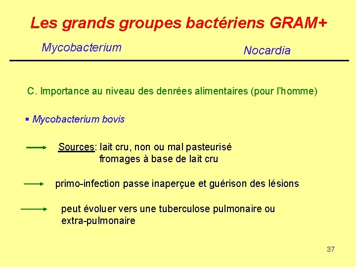 Les grands groupes bactériens GRAM+ Mycobacterium Nocardia C. Importance au niveau des denrées alimentaires