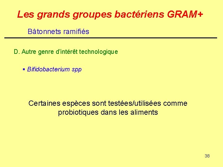 Les grands groupes bactériens GRAM+ Bâtonnets ramifiés D. Autre genre d’intérêt technologique § Bifidobacterium