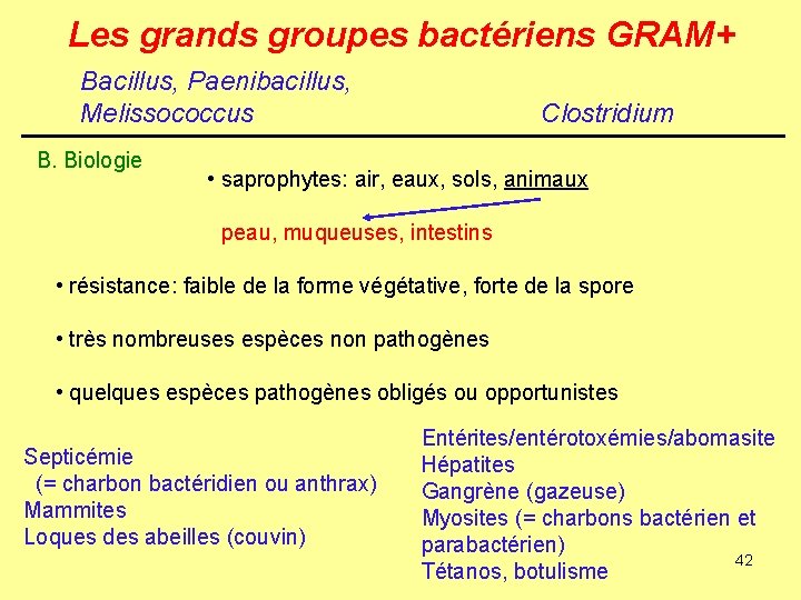 Les grands groupes bactériens GRAM+ Bacillus, Paenibacillus, Melissococcus B. Biologie Clostridium • saprophytes: air,