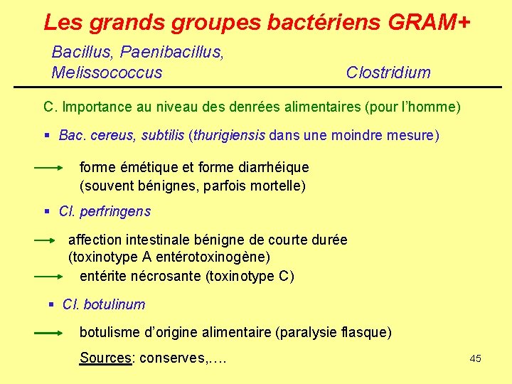 Les grands groupes bactériens GRAM+ Bacillus, Paenibacillus, Melissococcus Clostridium C. Importance au niveau des