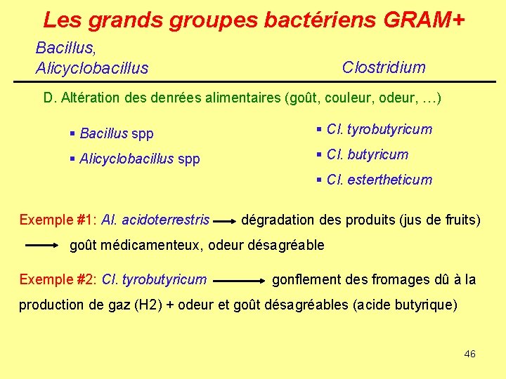 Les grands groupes bactériens GRAM+ Bacillus, Alicyclobacillus Clostridium D. Altération des denrées alimentaires (goût,