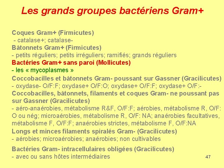 Les grands groupes bactériens Gram+ Coques Gram+ (Firmicutes) - catalase+; catalase. Bâtonnets Gram+ (Firmicutes)