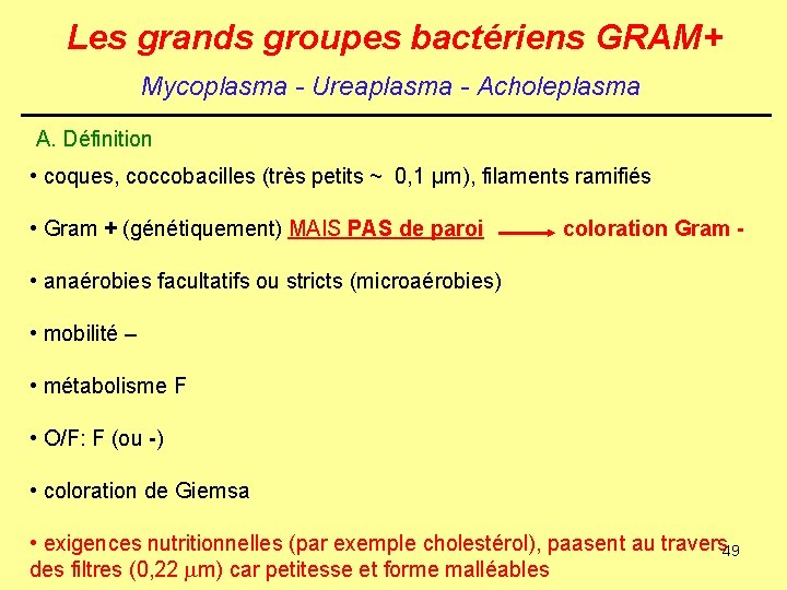 Les grands groupes bactériens GRAM+ Mycoplasma - Ureaplasma - Acholeplasma A. Définition • coques,