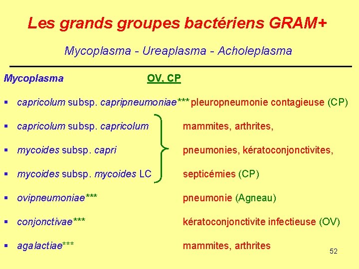 Les grands groupes bactériens GRAM+ Mycoplasma - Ureaplasma - Acholeplasma Mycoplasma OV, CP §