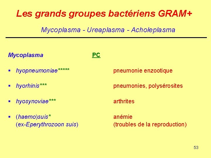 Les grands groupes bactériens GRAM+ Mycoplasma - Ureaplasma - Acholeplasma Mycoplasma PC § hyopneumoniae*****
