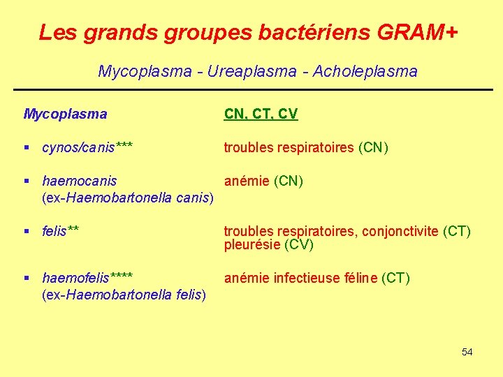 Les grands groupes bactériens GRAM+ Mycoplasma - Ureaplasma - Acholeplasma Mycoplasma CN, CT, CV