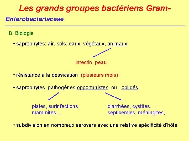 Les grands groupes bactériens Gram. Enterobacteriaceae B. Biologie • saprophytes: air, sols, eaux, végétaux,