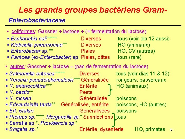 Les grands groupes bactériens Gram. Enterobacteriaceae • coliformes: Gassner + lactose + (= fermentation