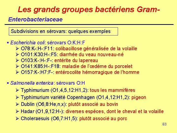 Les grands groupes bactériens Gram. Enterobacteriaceae Subdivisions en sérovars: quelques exemples § Escherichia coli: