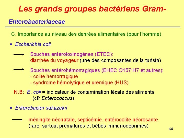 Les grands groupes bactériens Gram. Enterobacteriaceae C. Importance au niveau des denrées alimentaires (pour