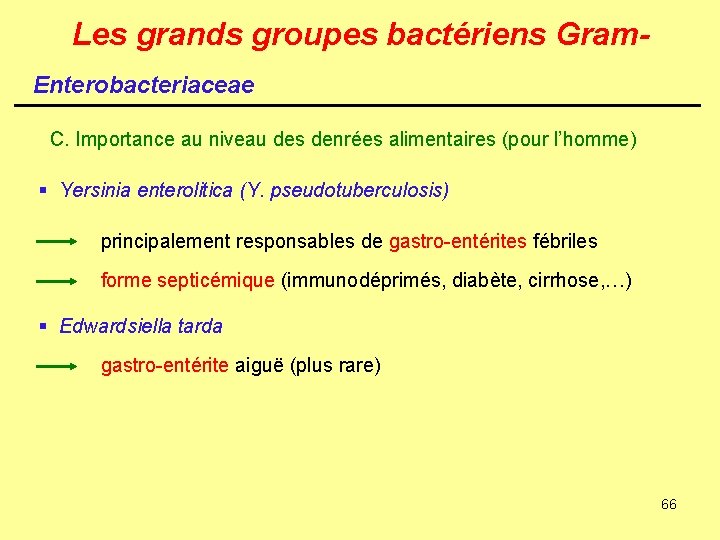 Les grands groupes bactériens Gram. Enterobacteriaceae C. Importance au niveau des denrées alimentaires (pour