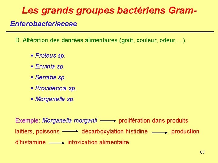 Les grands groupes bactériens Gram. Enterobacteriaceae D. Altération des denrées alimentaires (goût, couleur, odeur,