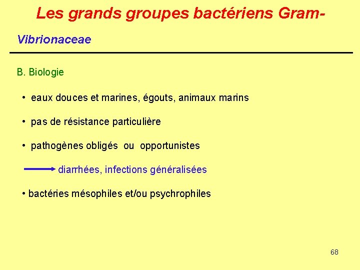 Les grands groupes bactériens Gram. Vibrionaceae B. Biologie • eaux douces et marines, égouts,