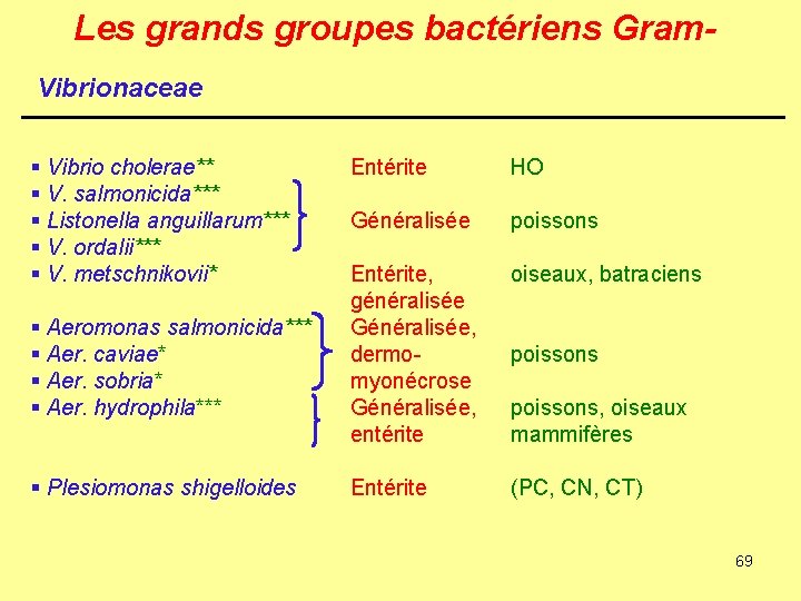 Les grands groupes bactériens Gram. Vibrionaceae § Vibrio cholerae** § V. salmonicida*** § Listonella