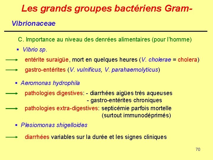 Les grands groupes bactériens Gram. Vibrionaceae C. Importance au niveau des denrées alimentaires (pour