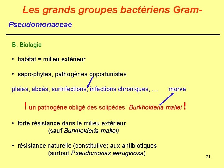 Les grands groupes bactériens Gram. Pseudomonaceae B. Biologie • habitat = milieu extérieur •