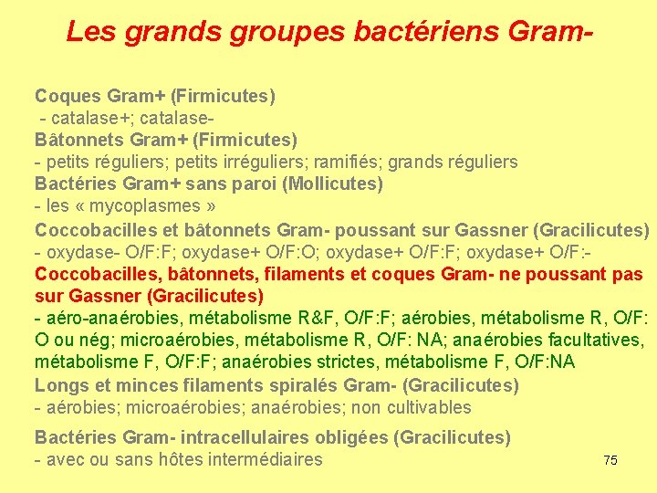 Les grands groupes bactériens Gram. Coques Gram+ (Firmicutes) - catalase+; catalase. Bâtonnets Gram+ (Firmicutes)