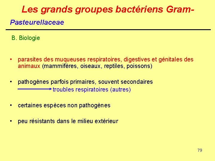 Les grands groupes bactériens Gram. Pasteurellaceae B. Biologie • parasites des muqueuses respiratoires, digestives