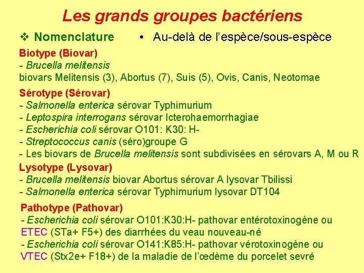 Les grands groupes bactériens v Nomenclature • Au-delà de l’espèce/sous-espèce Biotype (Biovar) - Brucella