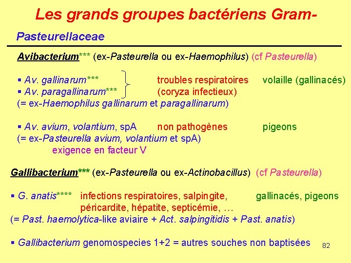 Les grands groupes bactériens Gram. Pasteurellaceae Avibacterium*** (ex-Pasteurella ou ex-Haemophilus) (cf Pasteurella) § Av.