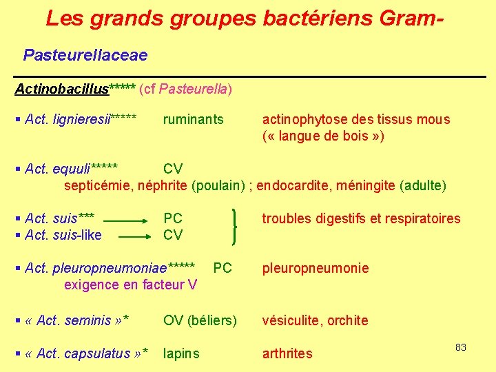 Les grands groupes bactériens Gram. Pasteurellaceae Actinobacillus***** (cf Pasteurella) § Act. lignieresii***** ruminants actinophytose