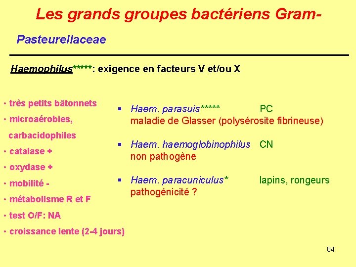 Les grands groupes bactériens Gram. Pasteurellaceae Haemophilus*****: exigence en facteurs V et/ou X •