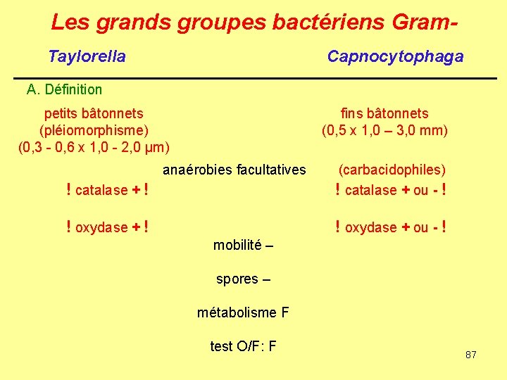 Les grands groupes bactériens Gram. Taylorella Capnocytophaga A. Définition petits bâtonnets (pléiomorphisme) (0, 3