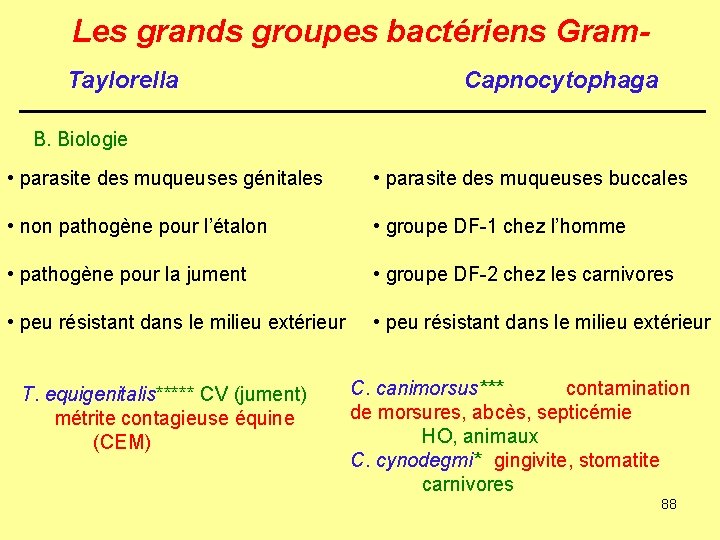 Les grands groupes bactériens Gram. Taylorella Capnocytophaga B. Biologie • parasite des muqueuses génitales