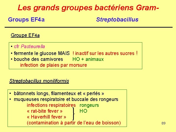 Les grands groupes bactériens Gram. Groups EF 4 a Streptobacillus Groupe EF 4 a