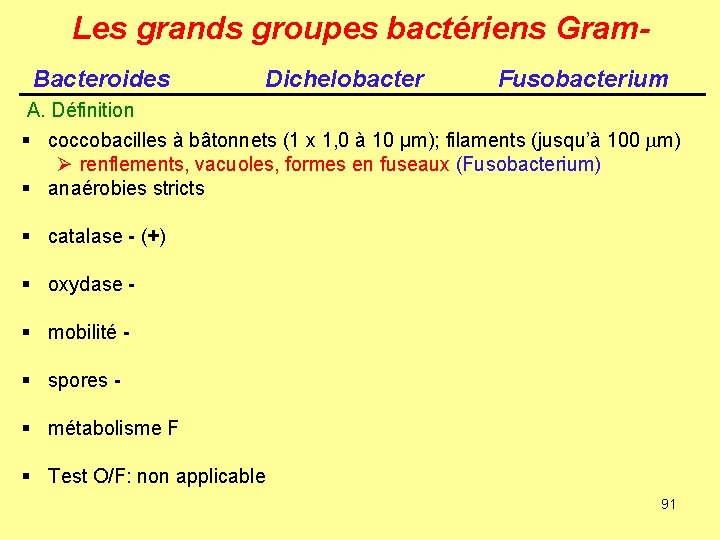 Les grands groupes bactériens Gram. Bacteroides Dichelobacter Fusobacterium A. Définition § coccobacilles à bâtonnets