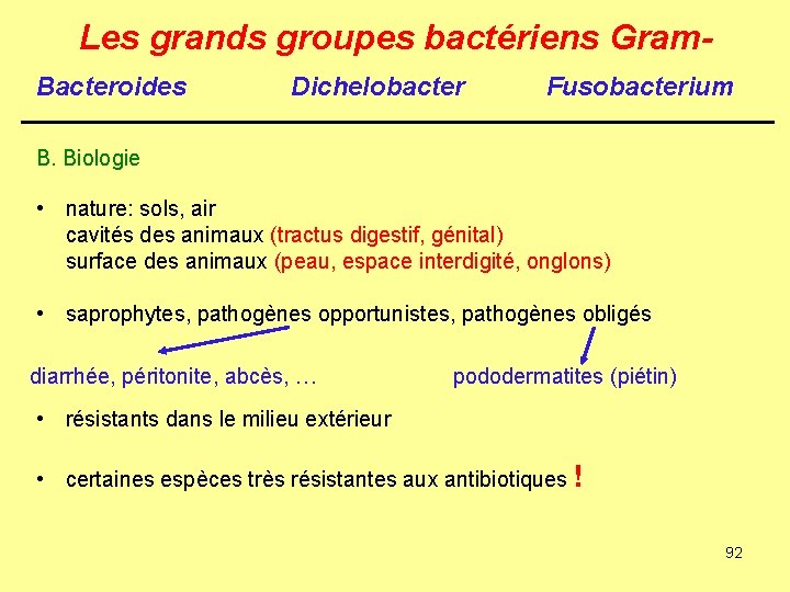 Les grands groupes bactériens Gram. Bacteroides Dichelobacter Fusobacterium B. Biologie • nature: sols, air