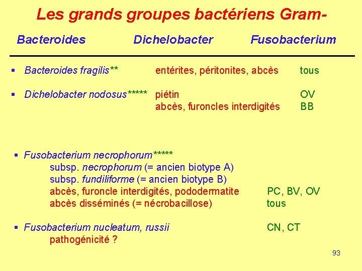 Les grands groupes bactériens Gram. Bacteroides § Bacteroides fragilis** Dichelobacter Fusobacterium entérites, péritonites, abcès