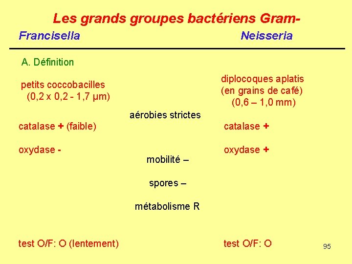 Les grands groupes bactériens Gram. Francisella Neisseria A. Définition diplocoques aplatis (en grains de