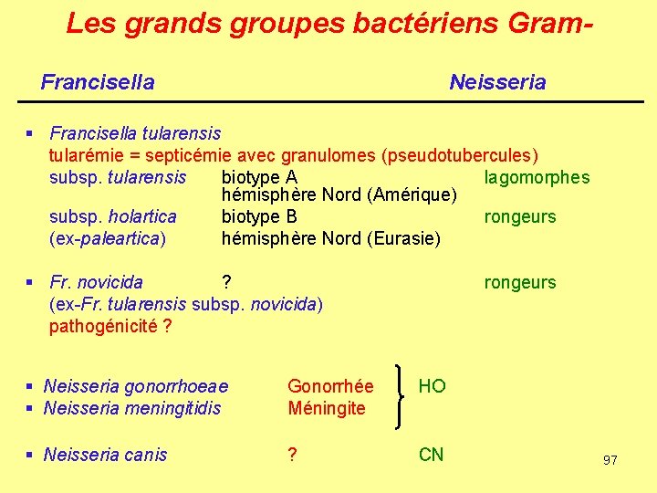 Les grands groupes bactériens Gram. Francisella Neisseria § Francisella tularensis tularémie = septicémie avec