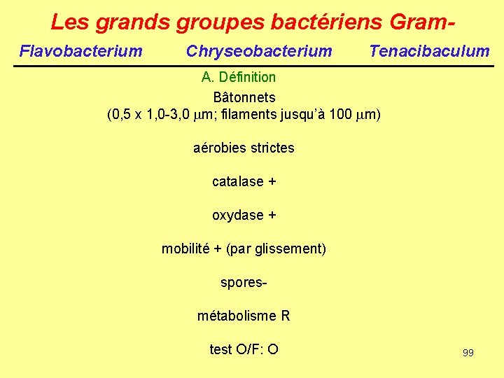 Les grands groupes bactériens Gram. Flavobacterium Chryseobacterium Tenacibaculum A. Définition Bâtonnets (0, 5 x