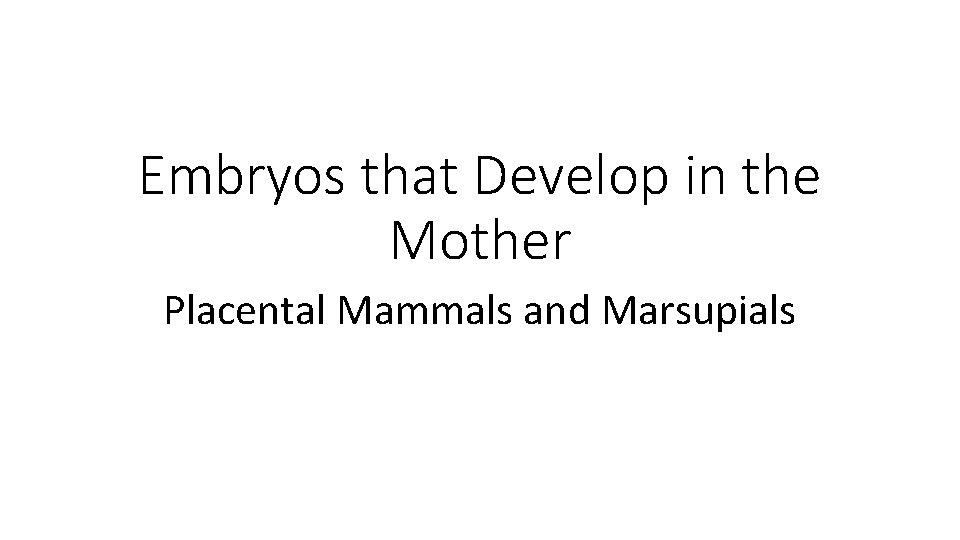 Embryos that Develop in the Mother Placental Mammals and Marsupials 