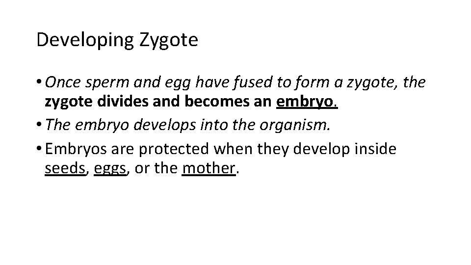 Developing Zygote • Once sperm and egg have fused to form a zygote, the