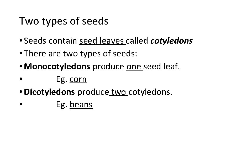 Two types of seeds • Seeds contain seed leaves called cotyledons • There are