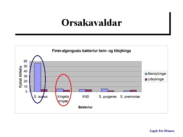 Orsakavaldar Ásgeir Þór Másson 