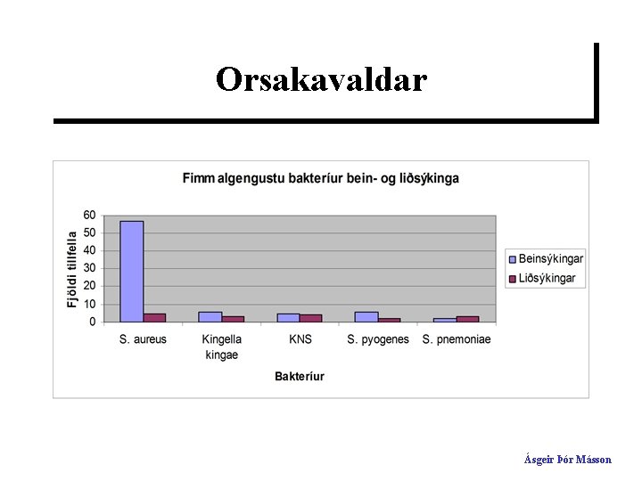 Orsakavaldar Ásgeir Þór Másson 