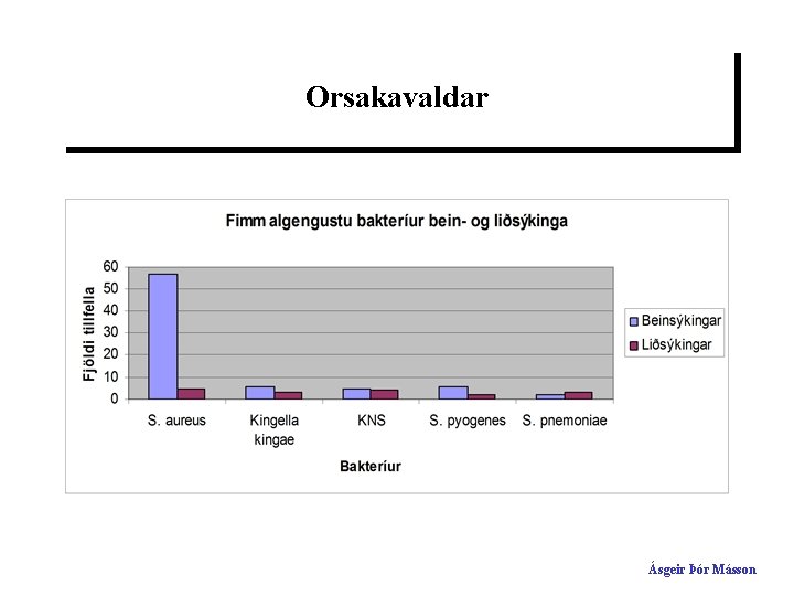 Orsakavaldar Ásgeir Þór Másson 