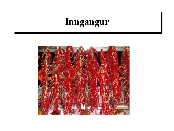 Inngangur 