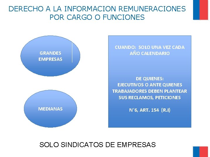 DERECHO A LA INFORMACION REMUNERACIONES POR CARGO O FUNCIONES GRANDES EMPRESAS CUANDO: SOLO UNA